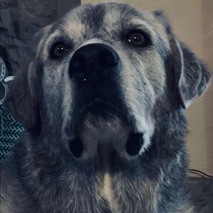 Meet your Posher, Brad